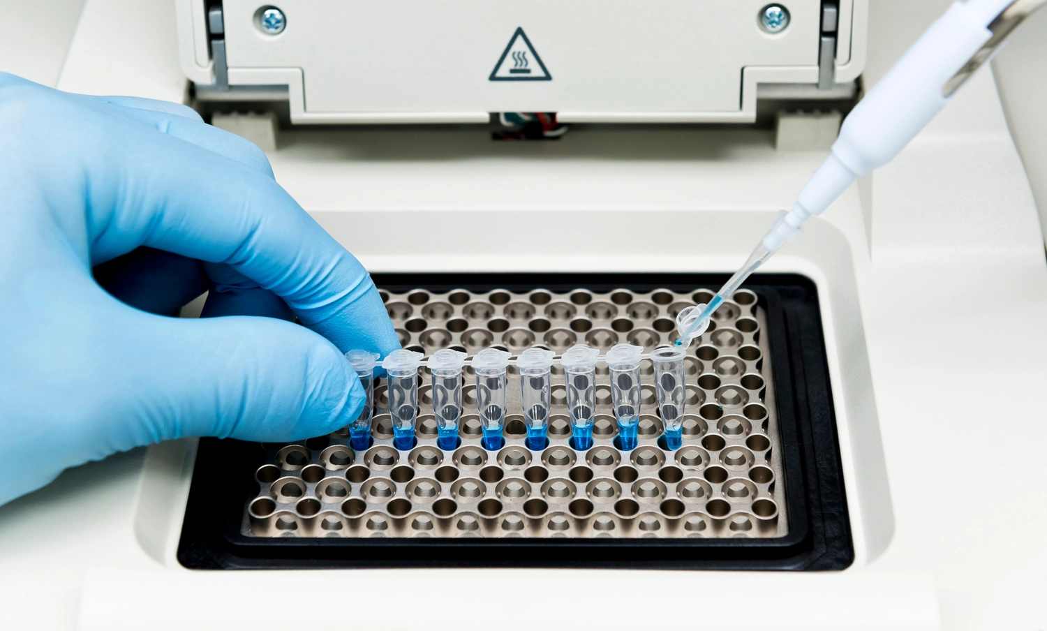 PCR-Test – Laboranalytik-Dienstleister – Eine Analytikerin nutzt einen Computer und ein Dashboard für Geschäftsdatenanalysen und ein Datenmanagementsystem.