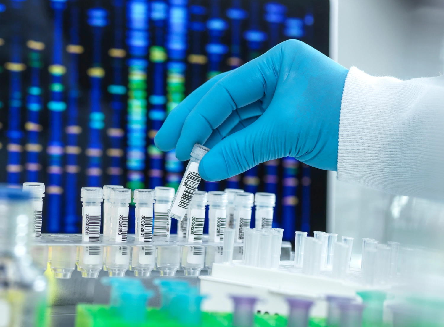 PCR-Test – Forschung und Entwicklung – Wissenschaftler bereiten eine DNA-Probe für einen Test vor.